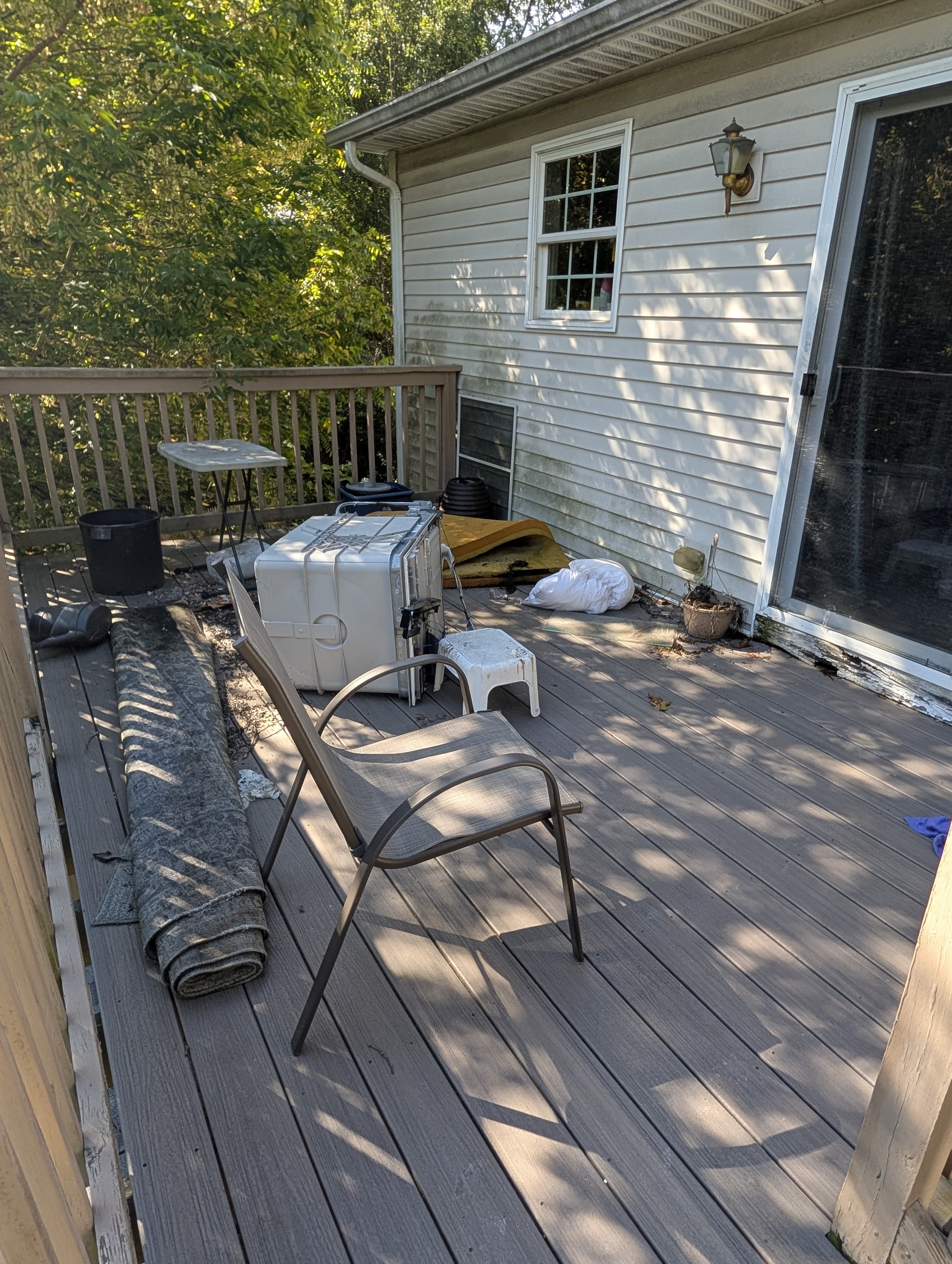 Deck Washing - Before